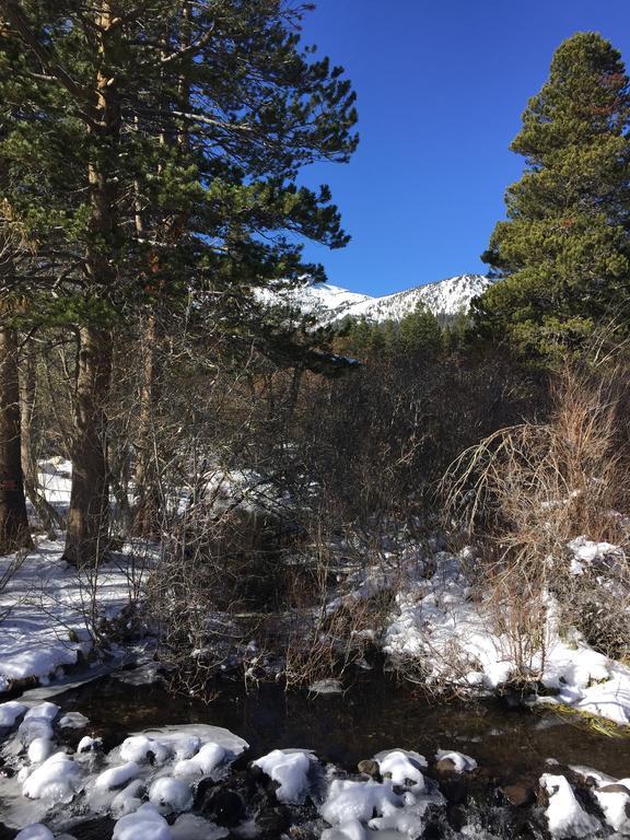Edelweiss Lodge Mammoth Lakes Ngoại thất bức ảnh
